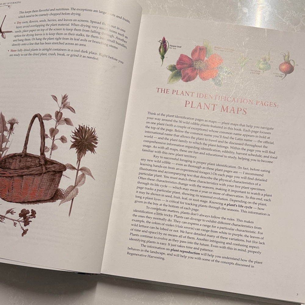 Foraging & Feasting Cookbook - Picture 4 of 5